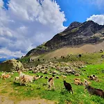 Отель Boutique Tierra Buxo - Adults Only Аркуса