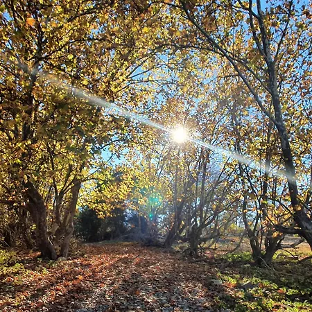 Boutique Tierra Buxo - Adults Only Hotel Arcusa