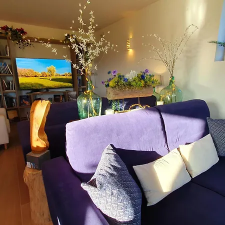 Hotel Boutique Tierra Buxo - Adults Only Arcusa