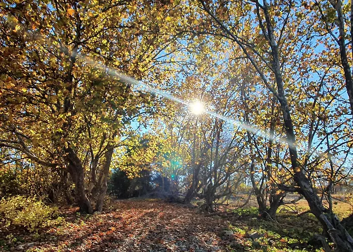 Boutique Tierra Buxo - Adults Only Hotell Arcusa