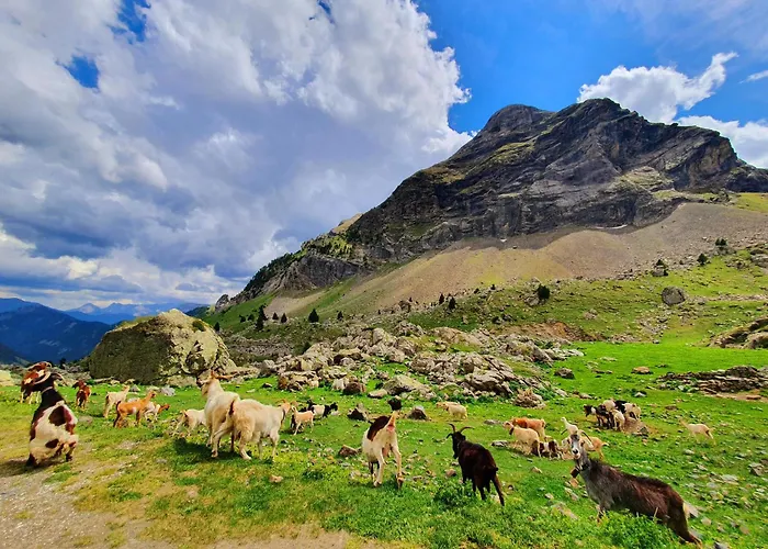 Hotell Boutique Tierra Buxo - Adults Only Arcusa